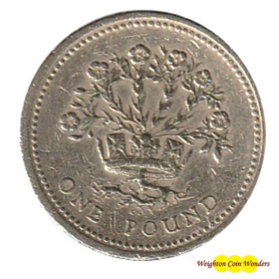 1991 £1 Coin - Northern Ireland Flax